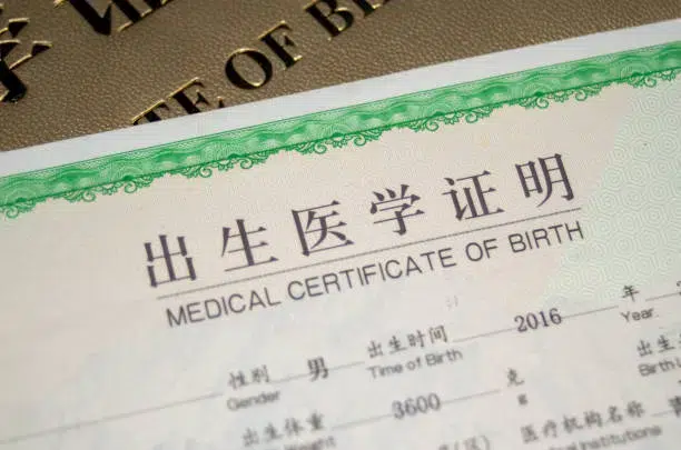 birth certificate translation services